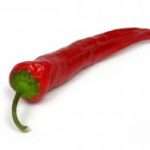 Chilli Pepper