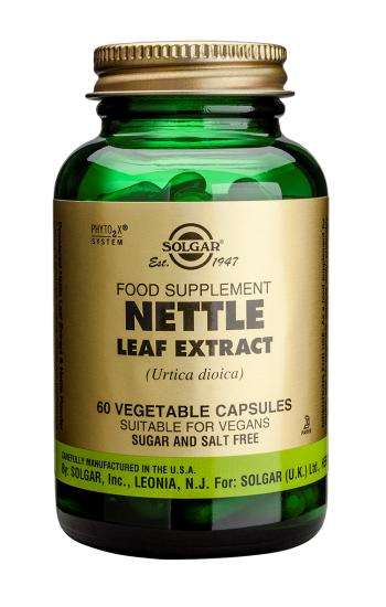 Nettle extract for hair loss